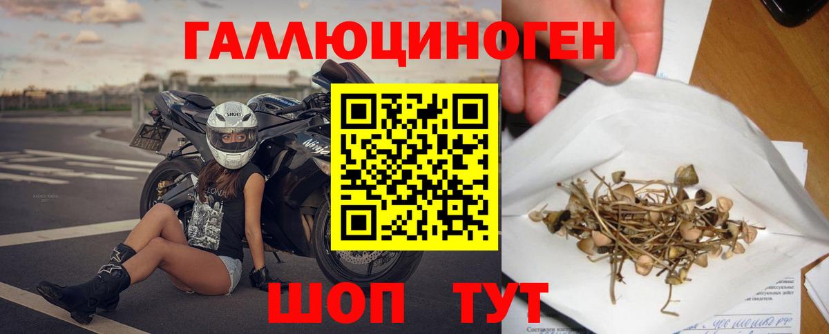 Галлюциногенные грибы ЛСД  даркнет сайт  Псилоцибиновые грибы GOLDEN TEACHER  Усть-Джегута  Вход с VPN 